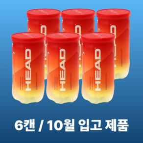 헤드 테니스공 챔피온쉽 캔볼 시합구