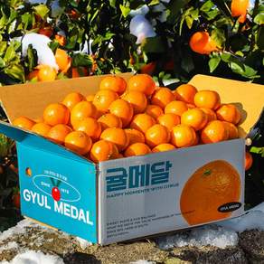 [귤메달] 제주 당도선별 노지감귤 3kg (대과/L)