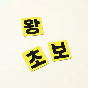 DMmade 초보운전 자석 차량용 스티커 포토 맞춤 제작 선물 귀여운 자동차 초보운전자 표시 마그넷