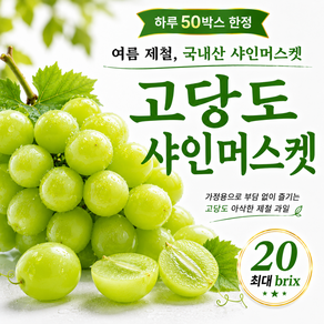 [50박스한정] 최대20brix 당도선별 프리미엄 샤인머스캣