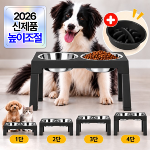 포디태 중대형견 목편한 높이조절 스텐 식기 2구 급체방지 슬로우 강아지 밥그릇
