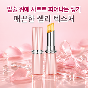 BNPP 립글레이즈 립글로스 틴트 립펜슬 촉촉한