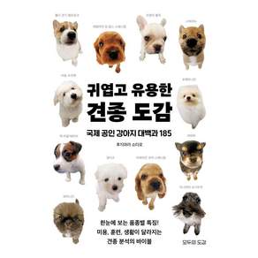 모두의도감, 후지와라 쇼타로