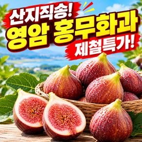 [당일 수확] 영암 홍무화과 과일 산지직송 생 무화과