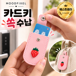 무드픽셀 도어락 키 케이스 키홀더 usb 케이스 도어락 카드키 케이스