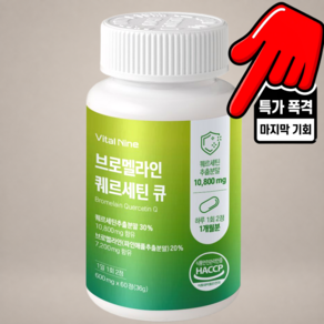 브로멜라인 퀘르세틴 600mg 독일산 케르세틴