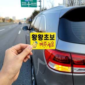 DMmade 초보운전 자석 차량용 스티커 포토 맞춤 제작 선물 귀여운 자동차 초보운전자 표시 마그넷