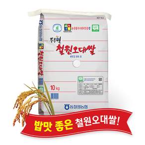 [당일도정] [동철원농협 운영] 2026년산 햅쌀 두루웰 철원오대