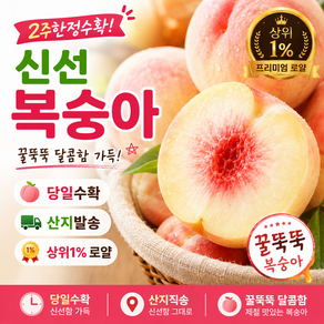 [2주한정수확] 신선 복숭아 당일수확 산지발송 상위1% 로얄 꿀뚝뚝 복숭아