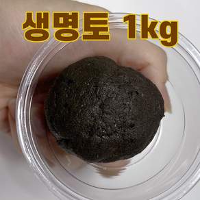 나무물들 생명토 붙이는흙 석부작 목부작 1kg 1개