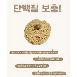 햄스터 샘타코 익스트루전 사료 펠렛 이갈이 먹이 간식