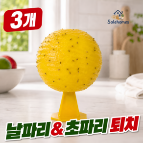 살레홈즈 초파리 트랩 날파리 끈끈이 벌레 퇴치제