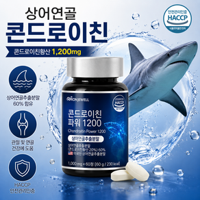 콘드로이친 철갑 상어 콘드로이친1200 관절 연골