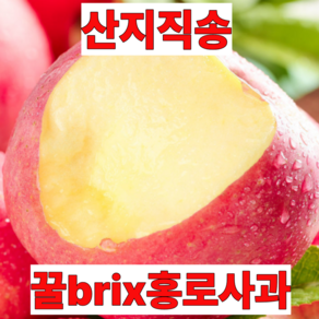 [최대18brix] 초고당도 홍로 사과 국내산 고당도