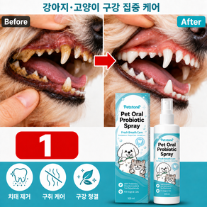 펫 덴탈 스프레이 100ml 강아지 치석제거 강아지 입냄새제거 강아지 뿌리는 치약 치석제거 스프레이