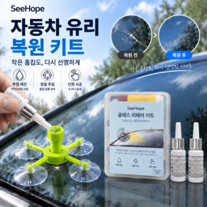 SeeHope 자동차 유리복원제 세트 셀프 보수 앞유리 크랙 기스 수리액 각종 보조도구 포함