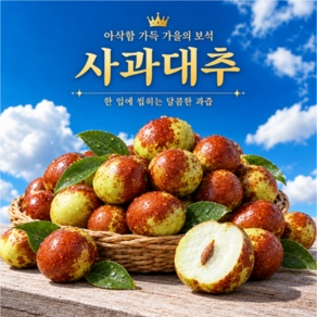 [고당도선별] 산지직송 국산 사과대추 대과
