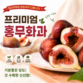 [산지직송] 국내산 프리미엄 고당도 홍무화과