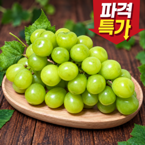 [초특가] 산지출고 프리미엄 고당도 샤인머스캣