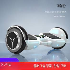 전동 호버보드 카트 두발 전동휠 투휠 레저용