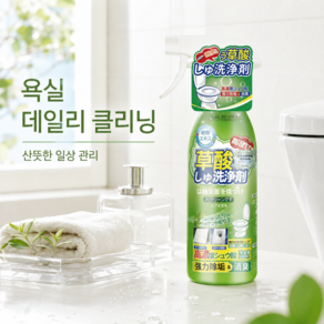 욕실 찌든때 강력 제거 세정제