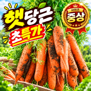[100박스특가할인] 산지직송 국내산 흙당근 고당도 햇당근