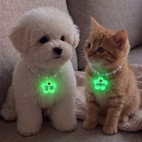 비즈 진주 야광 이름목걸이 강아지 고양이 반려동물 맞춤 인식표
