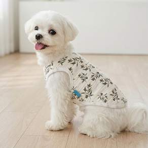 강아지옷 여름옷 순면 올인원 조끼 실내복 잠옷 사계절 강아지 고양이 통기성이 좋은 홈웨어