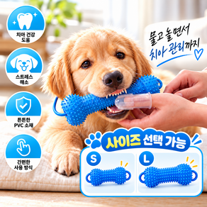 윤베라 강아지 치아관리 덴탈 토이 양치 보조 장난감
