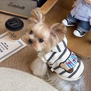 강아지 후드티 스트라이프 소형견 봄가을 반려견 옷 애견의류