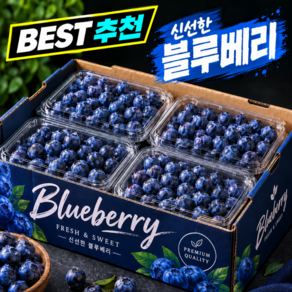 [작년완판] 새콤달콤 프리미엄 생 블루베리