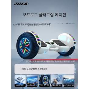 전동 호버보드 카트 두발 전동휠 투휠 레저용