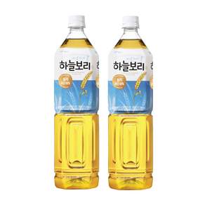 웅진 하늘보리