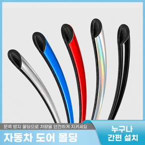 [플러스리빙] 변색없는 자동차 스크래치 문콕 방지 몰딩 도어가드 메탈칼라 5미터