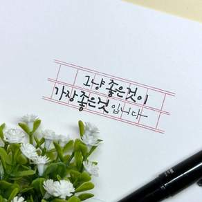 원고지 만년 스탬프