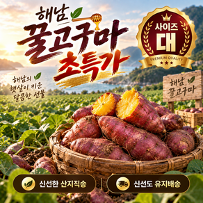 송이네 해남 꿀 고구마 고당도 밤 대
