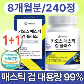 VitalLeaf 키오스 매스틱 검 플러스 식약청 인증 HACCP 제조시설