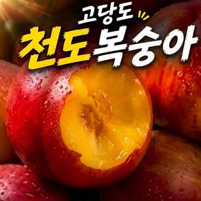가을제철 초특가 고당도 천도복숭아 복숭아