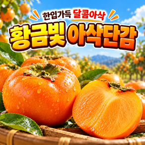 국내산 햇단감 달콤아삭 고당도 제철과일 중과