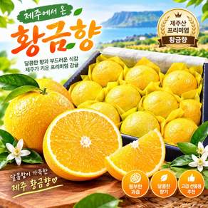 한아름마켓 제주 고당도 감귤 황금향 선물세트 가정용 선물용