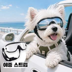 GBED 방풍 반려견 고글 고양이 강아지 선글라스 산책 외출 보호용 도글라스