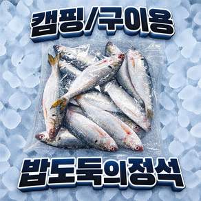 급냉 가을 전어 구이용 캠핑 숯불구이