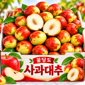 [제철특가] 최대30brix 초고당도 국산 꿀 사과대추