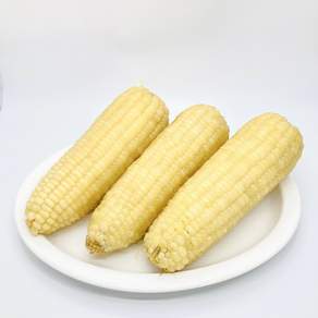 간식 다이어트식 냉동 삶은 찰옥수수 백찰옥수수 특품(특)