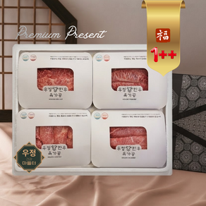 프리미엄부위 한우공장직송 최상급 한우선물세트 1++ 1kg 꽃등심400g+치마살200g+제비추리200g+불고기200g