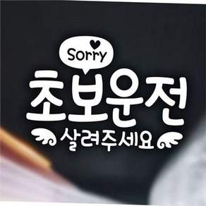초보운전 스티커 초보운전 운전자 자석 차량용 마그네틱 트렁크 후면 데칼 운전면허