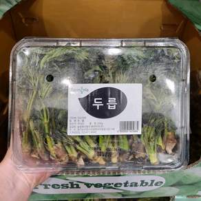 코스트코 두릅 500g
