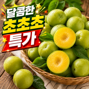 [고객재방문1위] 초고당도 과즙폭발 청자두 켈시자두
