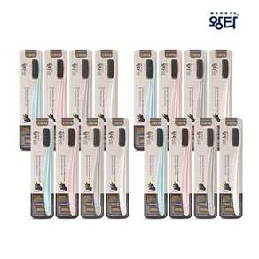 블랙패키지 백선생 왕타블랙 칫솔 16개