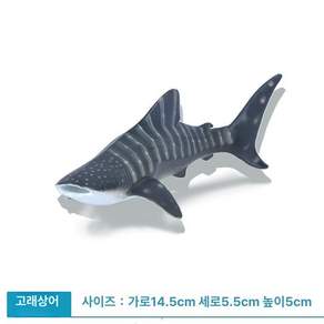 모형 화석 희귀 피규어 제품 고대 수집 물고기 동물 희귀동물 해양생물 수집품 실러캔스